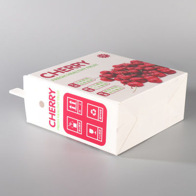 Eco White Plastic Turnover Box PP Hollow Plastic Corrugated Box Fruit Gift Moving Carton