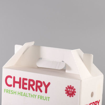 Eco White Plastic Turnover Box PP Hollow Plastic Corrugated Box Fruit Gift Moving Carton