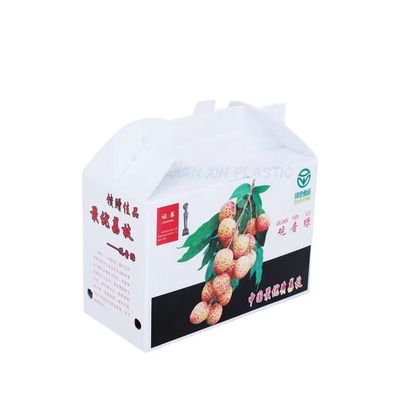 Polypropylene Corrugated Plastic Shipping Boxes Hard Customized Color PP Corrugated Box