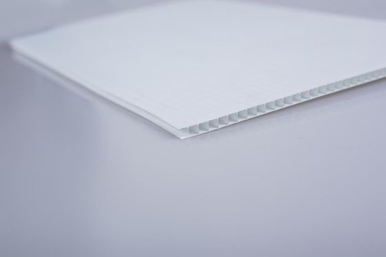 Clear White PP Hollow Sign Berrerage Pallet Board ODM Corrugated Plastic For Greenhouse