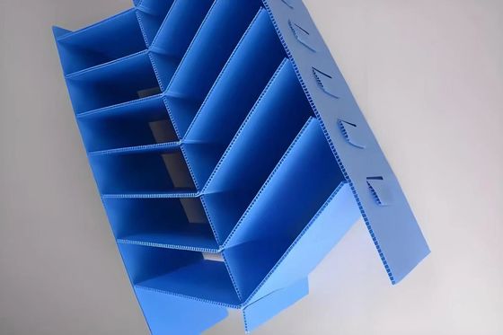 Plastic Dividers Box PP Corrugated Sheet Polypropylene Hollow Board Partition