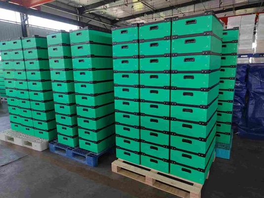 50kg Corrugated Plastic Moving Boxes Crates Hollow Sheet Turnover Box Plastic Crate Storage Boxes