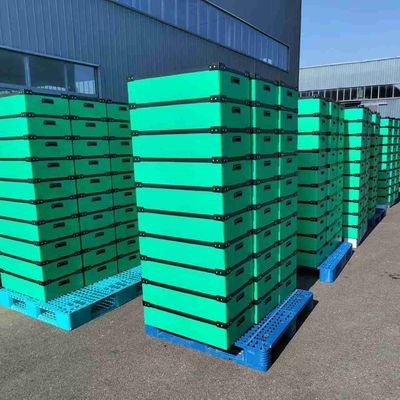 50kg Corrugated Plastic Moving Boxes Crates Hollow Sheet Turnover Box Plastic Crate Storage Boxes