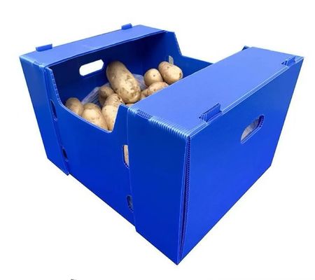 Plastic Turnover Box PP Corrugated Sheet Hollow Fruits And Vegetables Moving Container