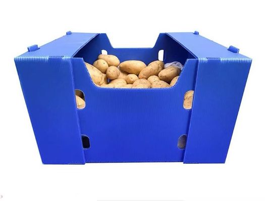 Plastic Turnover Box PP Corrugated Sheet Hollow Fruits And Vegetables Moving Container