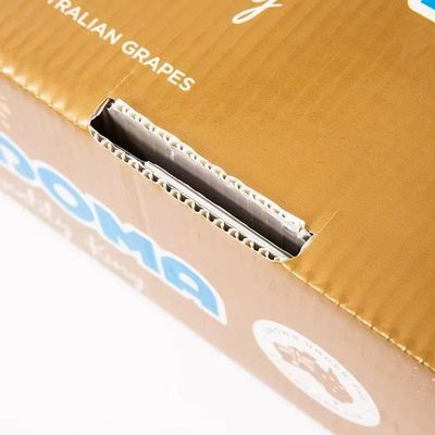 Plastic Turnover Box PP Corrugated Sheet Hollow fruits Moving Container