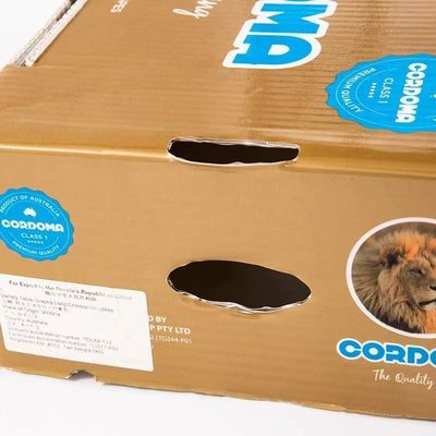 Plastic Turnover Box PP Corrugated Sheet Hollow fruits Moving Container