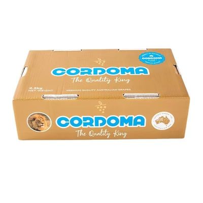 Plastic Turnover Box PP Corrugated Sheet Hollow fruits Moving Container