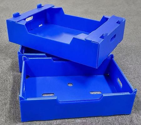 Corrugated Plastic Crates PP Hollow Sheet Box Lightweight Waterproof vegetables