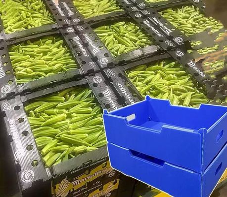 Corrugated Plastic Crates PP Hollow Sheet Box Lightweight Waterproof vegetables