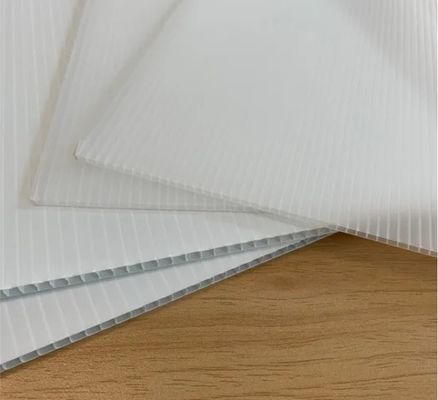 PP Hollow Board Corrugated PP Sheet for Protection Printing and Packaging