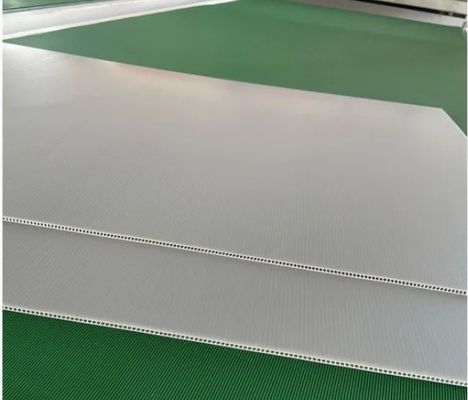 Plastic Sheet PP Hollow Sheet Twin Wall Corrugated Core Fluted Advertisement Printing