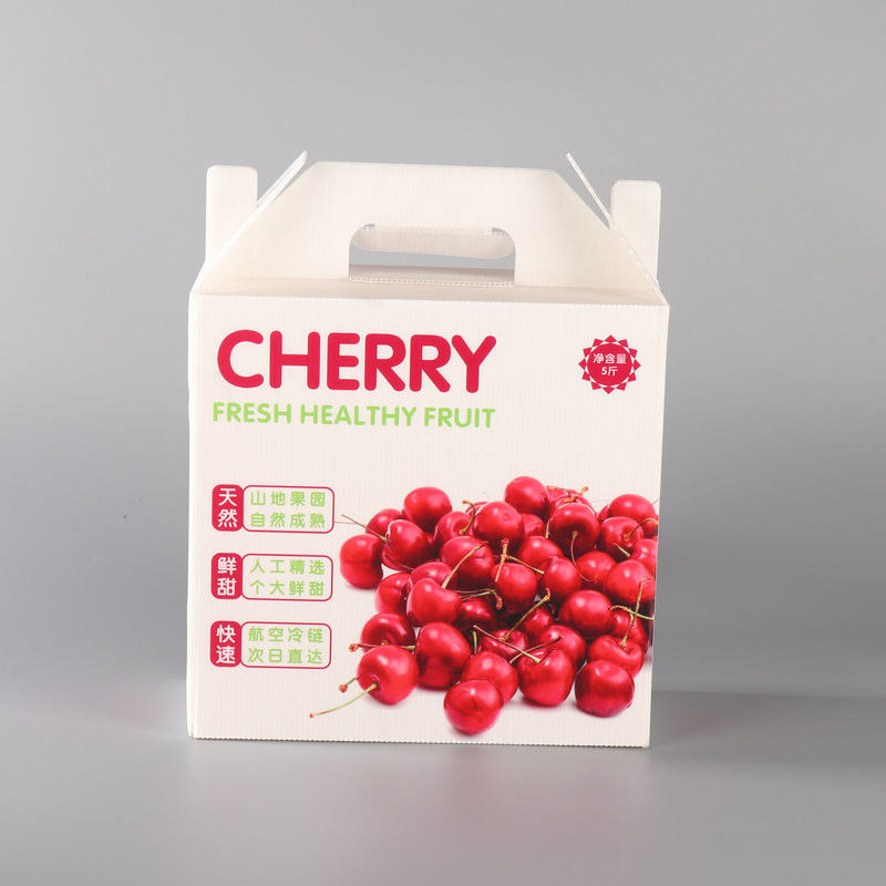 Eco White Plastic Turnover Box PP Hollow Plastic Corrugated Box Fruit Gift Moving Carton