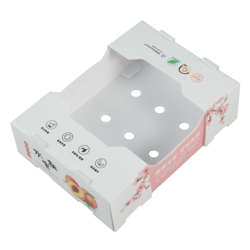 White Rectangular Plastic Corrugated Box Fruit Vegetable Gift Packing Corrugated Plastic Storage Bins