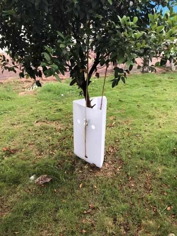 UV Resistant 3mm Plastic Corrugated Signs PP Sheet Plastic Tree Guard Waterproof For Protection