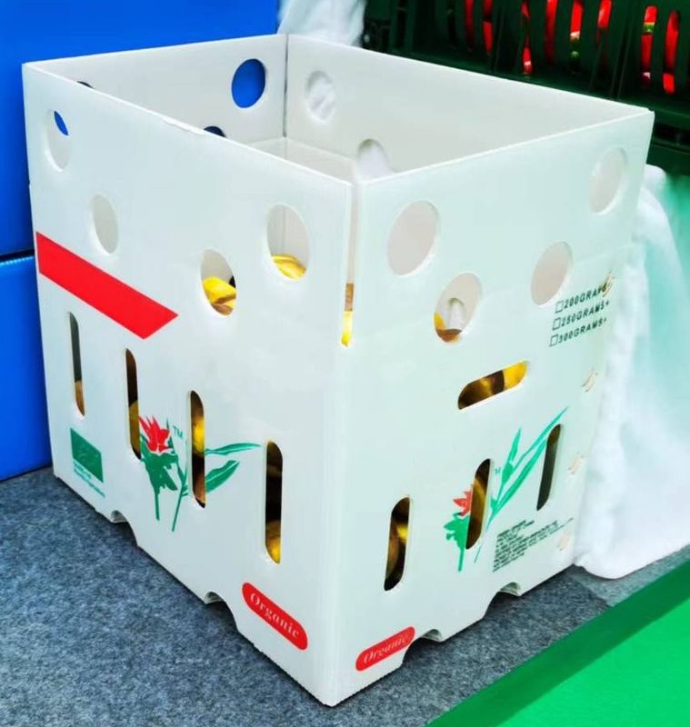 Plastic Turnover Box PP Hollow Sheet Corrugated Board Packing Bin For Vegetable