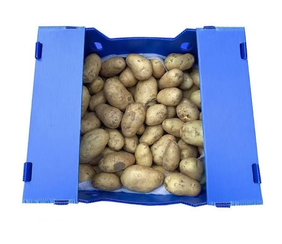 Plastic Turnover Box PP Corrugated Sheet Hollow Fruits And Vegetables Moving Container