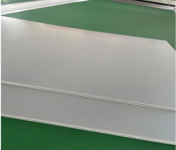 Plastic Sheet PP Hollow Sheet Twin Wall Corrugated Core Fluted Advertisement Printing